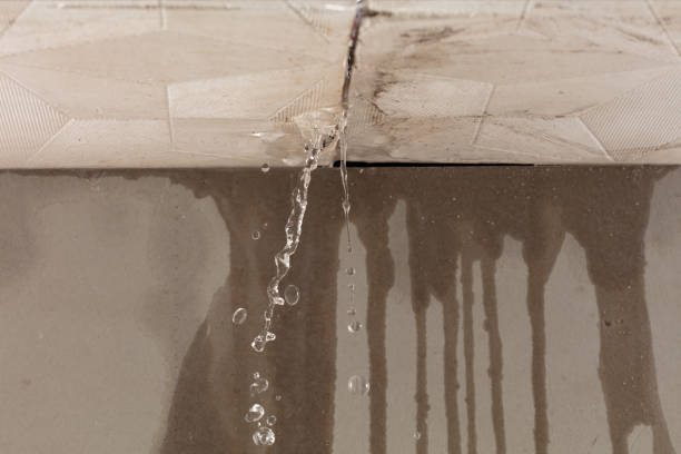 Professional Water Damage Repair technician working in Lincoln Park, NY